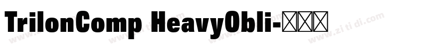 TrilonComp HeavyObli字体转换 TrilonComp HeavyObli字体转换